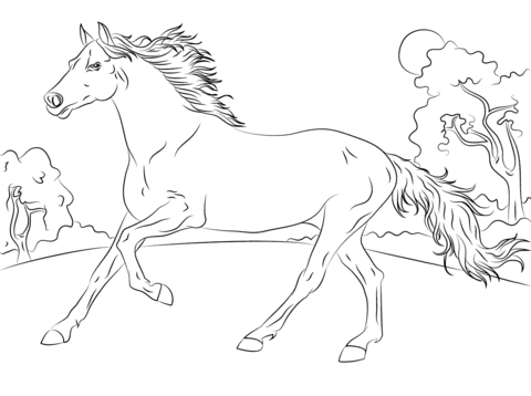 Running Arabian Horse Coloring Page